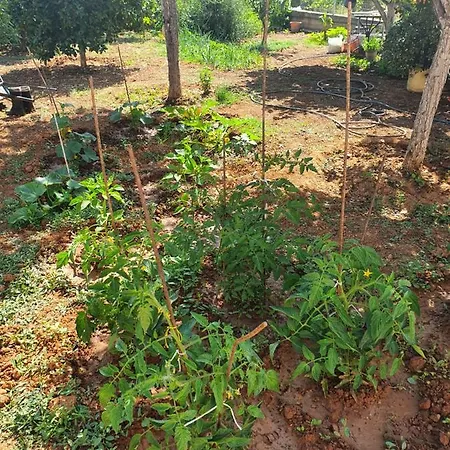 Chania Casa Portokali * Perivólia