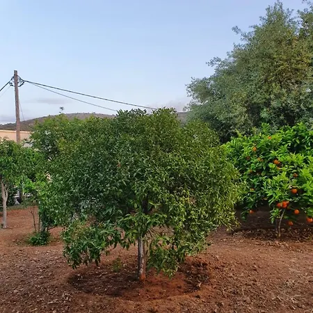 Chania Casa Portokali 住宿加早餐酒店
